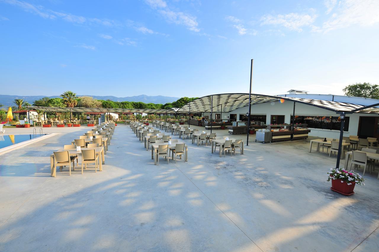 Afytos bodrum. Afytos Bodrum 4 Турция Бодрум. Afytos Bodrum City 4*. Afytos.